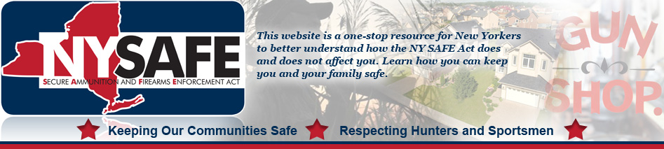Click to visit NY's interactive website Click to visit NY's interactive website